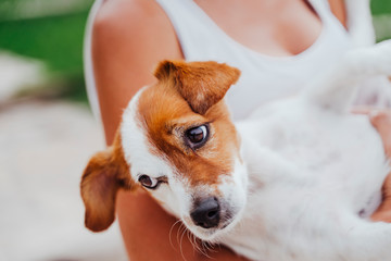close up view of woman holding in her arms cute small jack russell dog in a park. Love for animals and pets outdoors