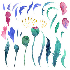 Set of hand drawn watercolor folk peony