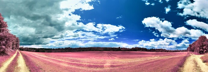 Beautiful pink and purple infrared panorama of a european countryside landscape with a blue sky