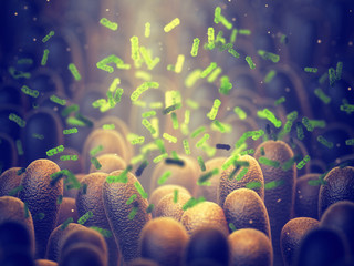 Intestinal bacteria, Gut microbiome helps control intestinal digestion and the immune system, Probiotics are beneficial bacteria used to help the growth of healthy gut flora - obrazy, fototapety, plakaty