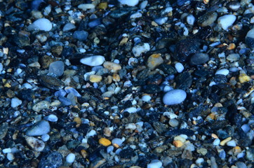 underwatrer photography in the mediterranean sea