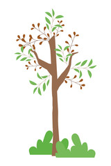 Isolated abstract and season tree design vector illustration