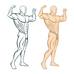 Strong man. Strong bodybuilder hand drawn vector illustration. Muscular man. Part of set.