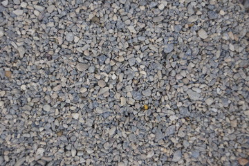 gravel bed with fine gravel 04