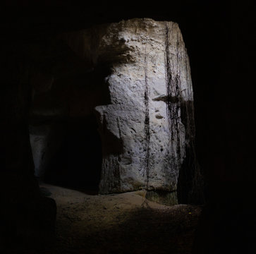 troglodyte