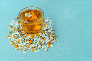 Infusion with chamomile flowers on blue background. Copy space.