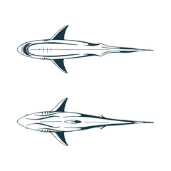Shark. Sharks top and bottom view hand drawn vector illustrations set. Sketch drawing shark graphics. Part of set.