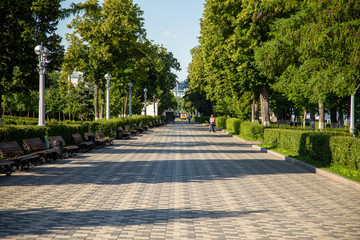 Alley on a sunny day in a park in Samara