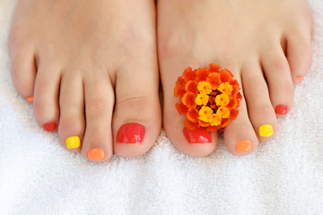 Female feet with colorful pedicur with red-orange flower. Soft focus image