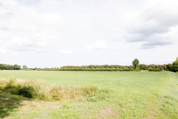 Fototapeta premium blick auf eine angrenzende wiese im moor in Herzlake emsland deutschland fotografiert beim gang durch das moor an einem sonnigen tag