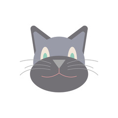 Image of a cat's face in a flat style. Vector illustration on a white background.