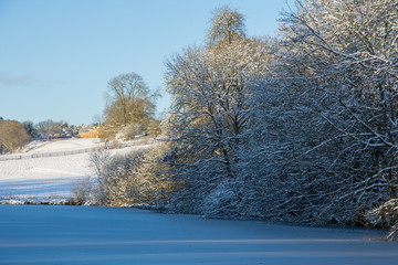 Snow lying on trees and fields in the countryside near Shenington, Oxfordshire on a clear winter day with blue sky