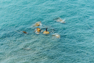 Aerial view of Fisherman standing on the stones amid the sea wave for fishing in Chonburi, Thailand.