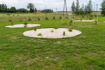 Small trees planted in the home garden in a separate place in the shape of a circle filled with small, white pebbles.