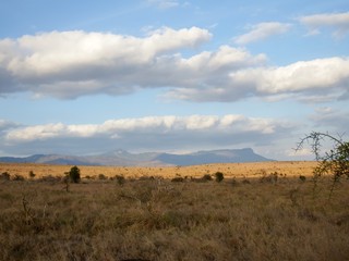 Savannenlandschaft in Tsavo Ost Kenia