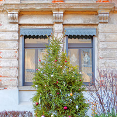 christmas decorated windows and tree