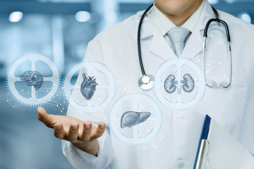 The doctor shows the mechanism of the internal organs .