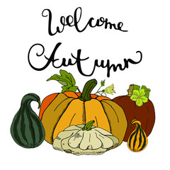 Greeting card with autumn pumpkins and text. Set of various pumpkins with the inscription welcome autumn on a white background.