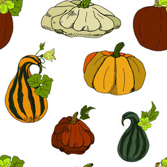 Seamless pattern of autumn pumpkins on a white background. Ideal for design, fabric, packaging, wallpaper, textiles. Vector illustration.