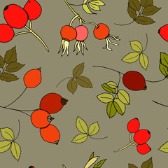 Seamless pattern of ripe rose hips on a light brown background. Ideal for design, fabric, packaging, wallpaper, textiles. Vector illustration
