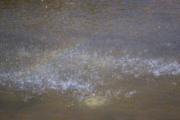 drops of water on the surface with a rainbow