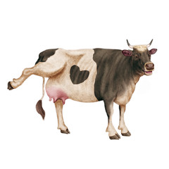 vache laitière, rigolote,  coeur, invitation, offrir son lait, animal, ferme, bétail, blanc, isolé, taureau, mollet, noir et blanc, , bétail, agriculture, mammifère, gazon, nature, champ, alpage, lait