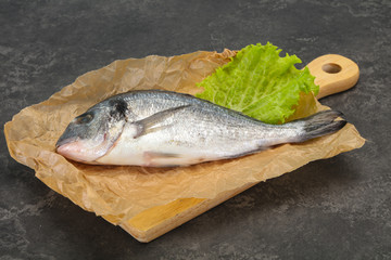 Raw Dorada fish  for cooking