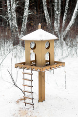 Wooden birdhouse with food in winter snowy forest.