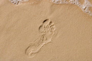 Fototapeta na wymiar Footprint in the Sand