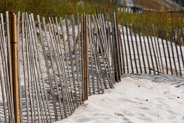 Beach Fence