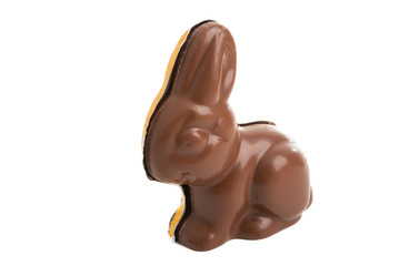 chocolate easter bunny isolated