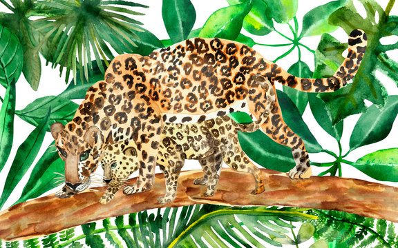 Watercolor hand painted wild nature composition with two leopard family: mother protects and teaching to hunt child on the brown tree log, on the green tropical jungle leaves on the background