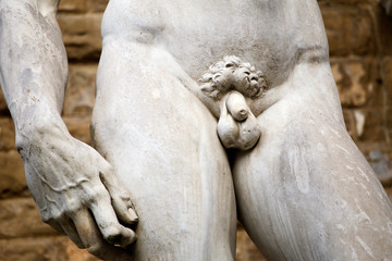Fototapeta na wymiar Statue in Florence, Italy