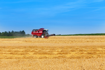 Obraz premium combine harvester working