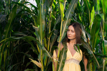 A girl in a yellow dress posing in a corn field