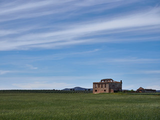 An abandoned and Derelict Finca or Farmhouse in the wheat Fields and Olive Groves of Andalucia, near to Fuente de Piedra. Spain in April.
