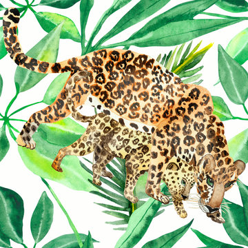 Watercolor hand painted wild life nature composition with two hunter family leopard: mother and child on the green tropical jungle leaves on the background 