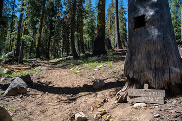 Damaged wooden sign indicating unrestricted camping beyond this point