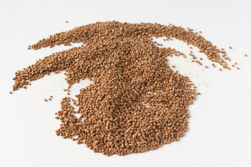 Buckwheat. Buckwheat drawing. Buckwheat background.