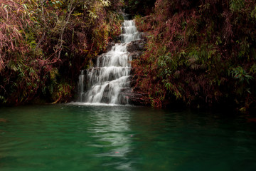 Fototapeta na wymiar cascada con lago de agua de tonos verde