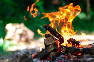 Burning wood, campfire at touristic camp at nature. Flame and fire sparks on green background....