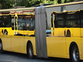 Omnibus