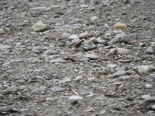 Gray gravel stones on the ground, country road