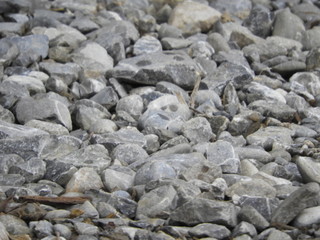Gray gravel stones on the ground, country road