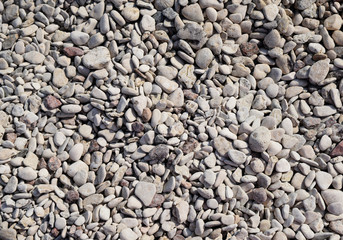Small sea stones, gravel background. Texture. Nature background from gray sea pebbles