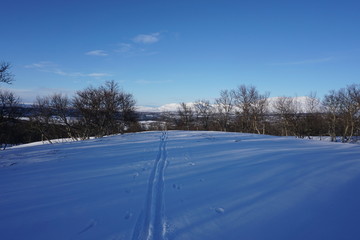 skiing