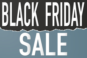 Fototapeta premium black friday sale advertisement mock up vector