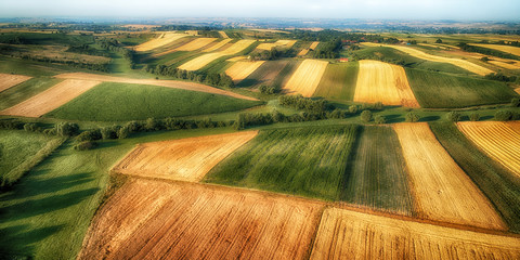 Drone aerial view - fields on the morning