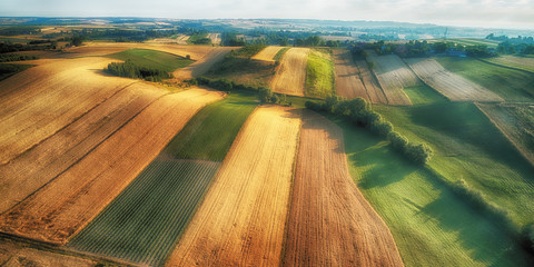 Drone aerial view - fields on the morning