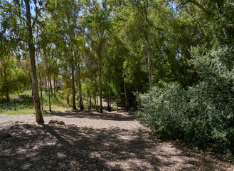 Looking down the Trail at the entrance of the Raja Ancha Recreation Area on the outskirts of Pizarra, a small town in Andalucia, near Malaga in Spain.